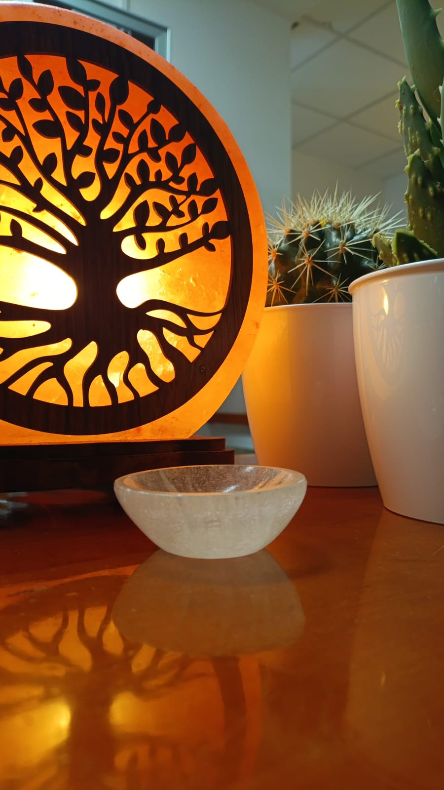 Ciotola in selenite cm 6