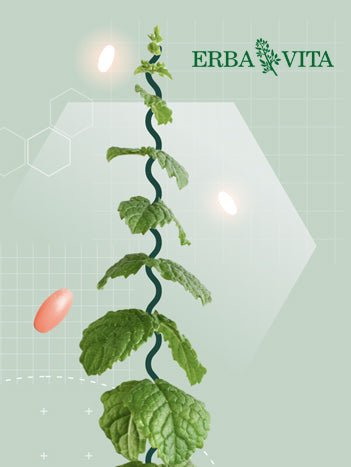 Erba Vita