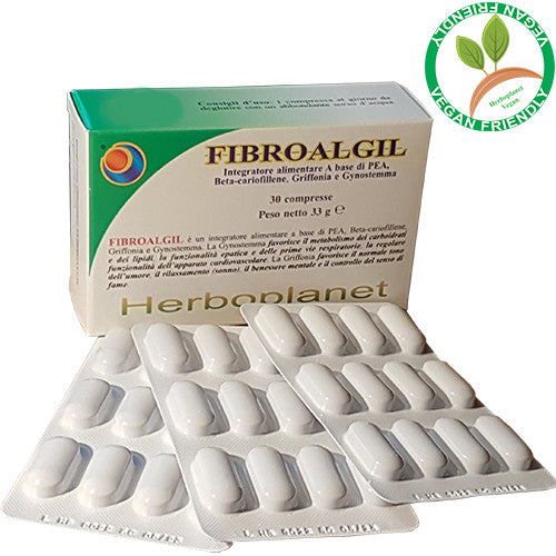 FIBROALGIL