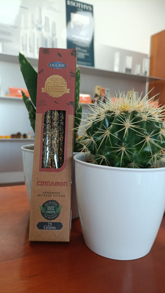 INCENSO NATURALE NAMASTE' CINAMMON BASTONCINO LUNGA DURATA