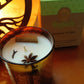 Candela Organic Goodness in cera di soia e frammenti di Lemongrass & Spezie gr 200