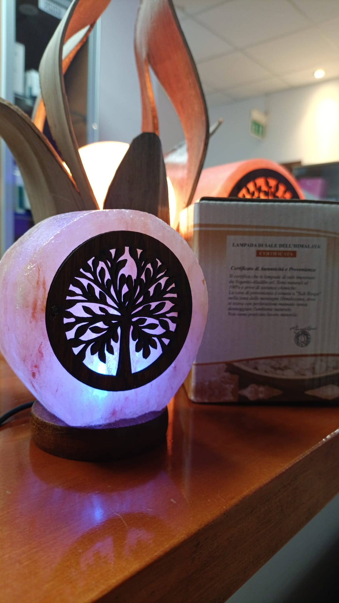 Lampade di sale USB albero della vita cm 8×8