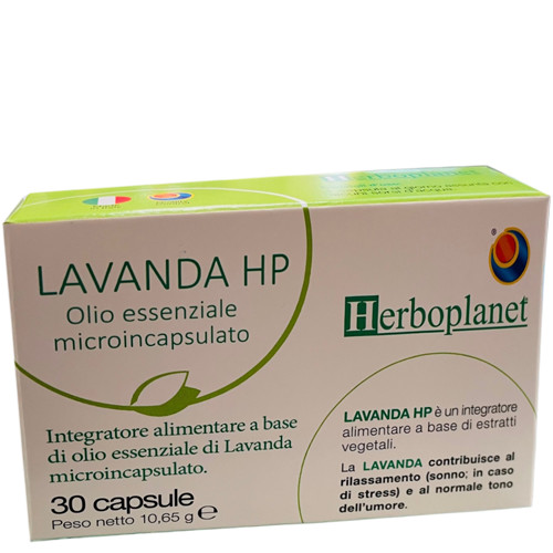 LAVENDER HP