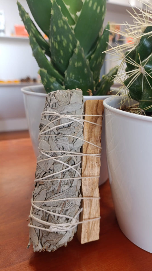 Smudge salvia bianca + 1 legnetto di palo santo